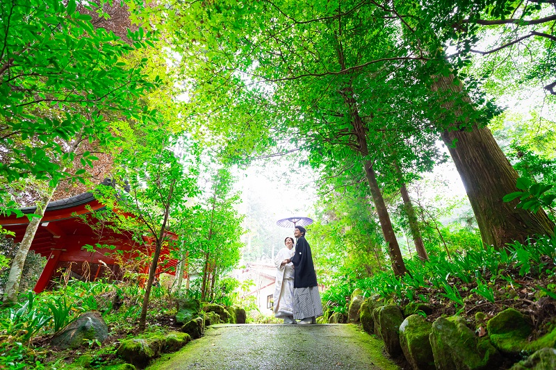 緑溢れる箱根神社