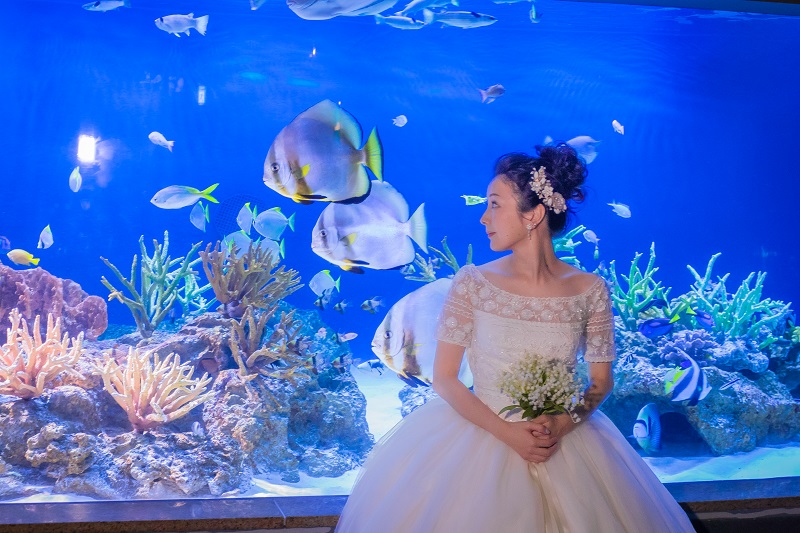 【新江ノ島水族館】ふたりの想い出の場所で叶えた夢のようなフォトウェディング（K様）