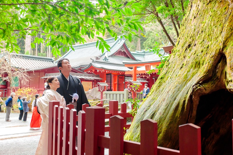 箱根神社安産杉で和装フォト