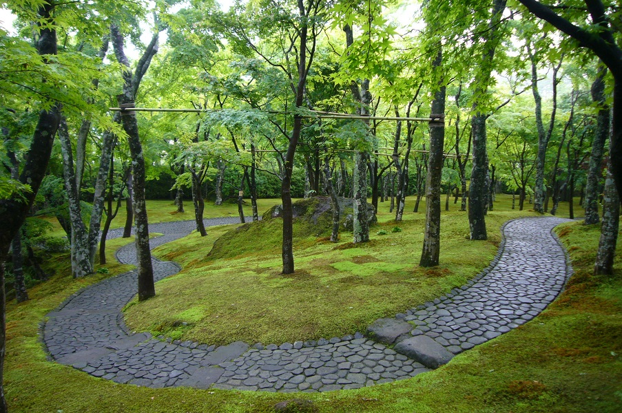 箱根美術館夏の苔庭