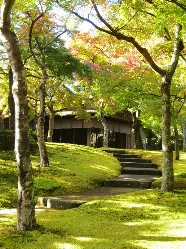 箱根美術館苔庭