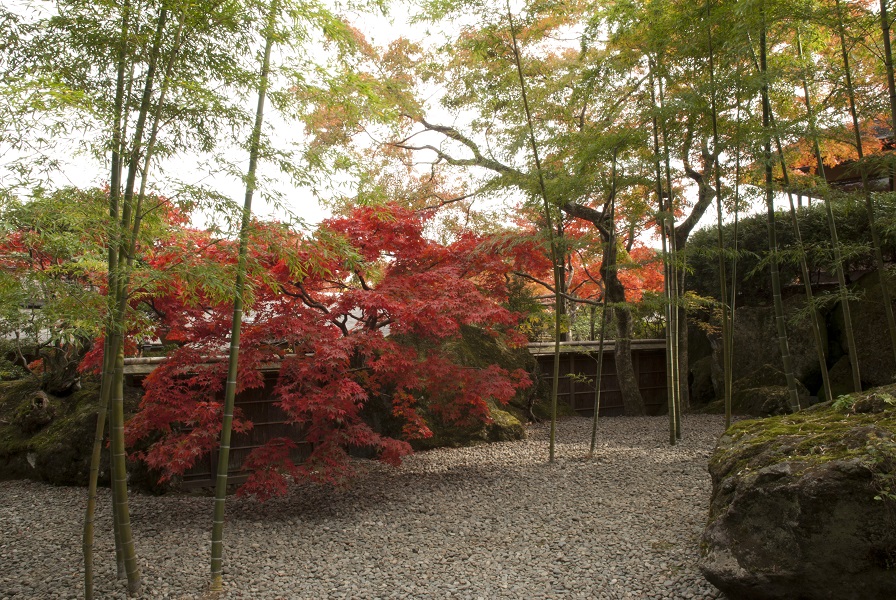 箱根美術館紅葉