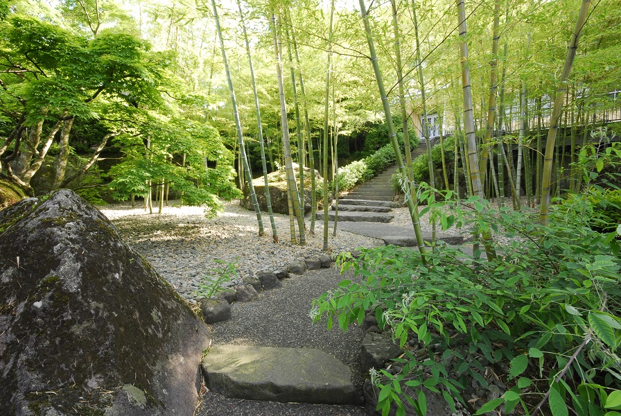 箱根美術館竹林