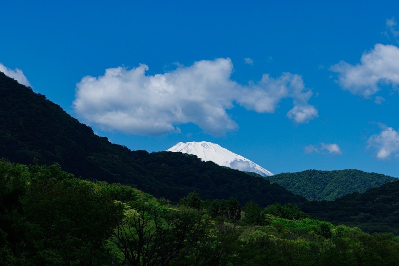 ハイアットから見える富士山