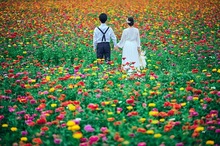 富士五湖周辺の花畑でウェディング撮影