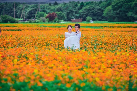 富士五湖周辺の花畑周辺でフォトウェディング