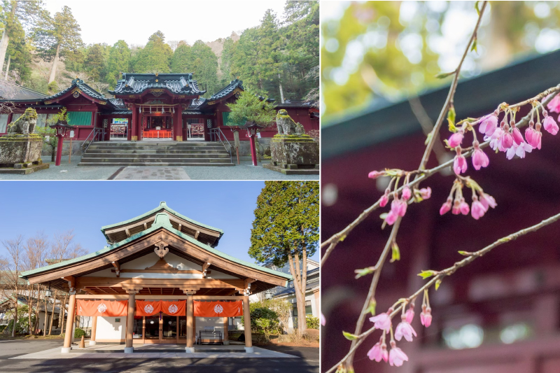箱根神社と龍宮殿