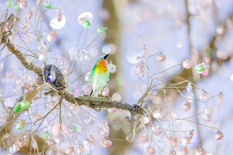 ガラス細工の美しい小鳥